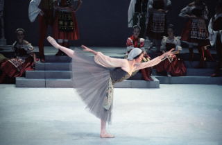 sleeping princess 97-14