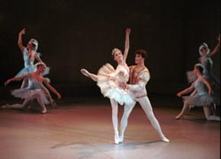 Sleeping Beauty 19-30a