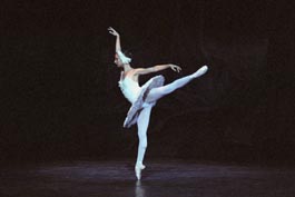 Swan Lake. Sadaise Arencibia